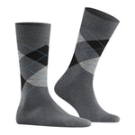 EdinburghSO21125_5039sun_3