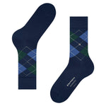 EdinburghSO21125_5039sun_3