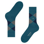 EdinburghSO21125_5039sun_3