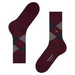 EdinburghSO21125_5039sun_3