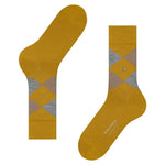 EdinburghSO21125_5039sun_3