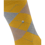 EdinburghSO21125_5039sun_3