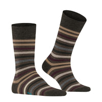 Falke Heren Sokken Tinted StripeSO 13279 - Jambelles