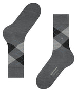 EdinburghSO21125_5039sun_3