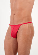 PlumesG-string359931_40Z098Anthrazit_3