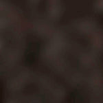 Teppich im schuh 14402