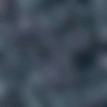 Teppich im schuh 14402