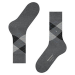 EdinburghSO21125_5039sun_3