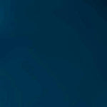 Falke Dames & Heren Anti-Slip Sokken Homepads 16500 - Jambelles