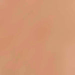 Falke Dames Voetjes Cotton Step 44083 - Jambelles