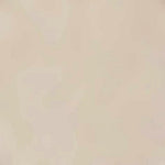 Falke Dames Voetjes Step IN Sneaker 47577 - Jambelles