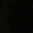 Falke Heren Kniekousen Energizing CO 15660 - Jambelles