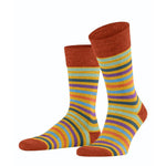 Falke Heren Sokken Tinted StripeSO 13279 - Jambelles