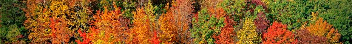 Herfst Collectie 2024