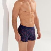 Hom Heren Boxer Briefs HO1 - Spectra 402954 - Jambelles