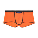 Hom Trunk HO1 Plume Up 402373 - Jambelles