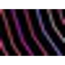 Hudson Dames Sneakersokken RAINBOW 120015231 - Jambelles