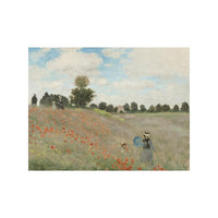 Kunstsokken Dames & Heren Fantasie Sokken Poppy Field POPF01 - Jambelles