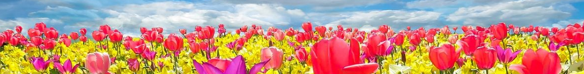 Lente 2025