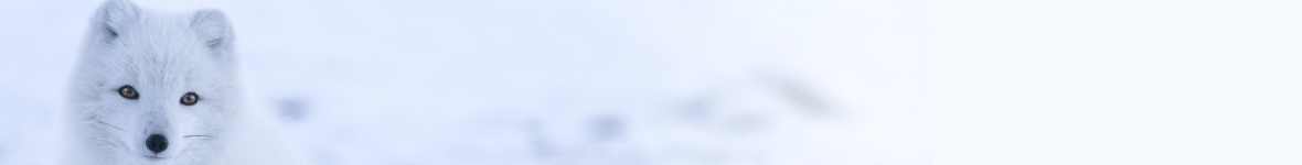 Thermo Ondermode Heren