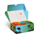 2-PackBeachLifeSocksGiftSet2PP002651_7300Green_4