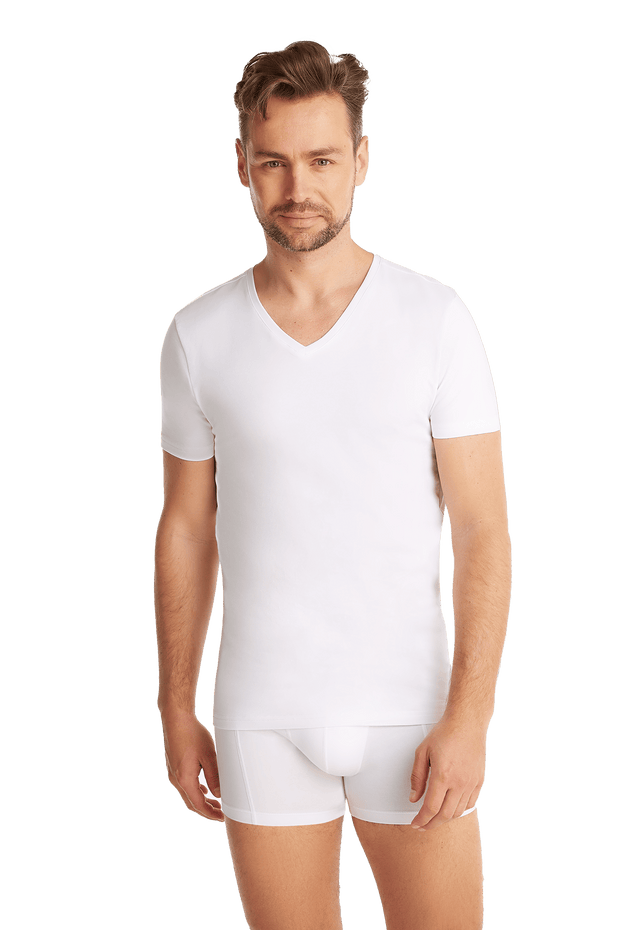 Ten Cate Heren Basics organic cotton V-Hals T-shirt 2-pack 32325