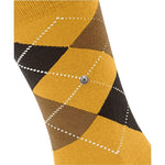 EdinburghSO21125_5039sun_3