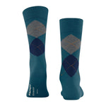 EdinburghSO21125_5039sun_3