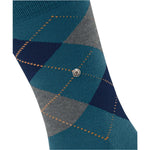 EdinburghSO21125_5039sun_3