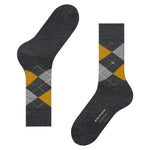 EdinburghSO21125_5039sun_3