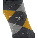 EdinburghSO21125_5039sun_3