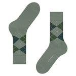 EdinburghSO21125_5039sun_3