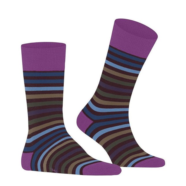 Falke Heren Sokken Tinted StripeSO 13279 - Jambelles