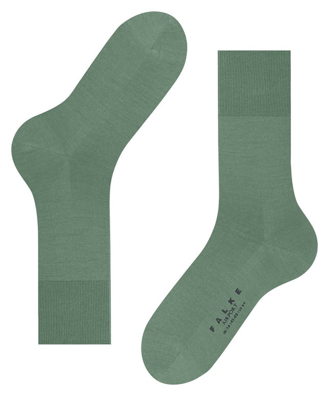 Airport14435_7538sage_2