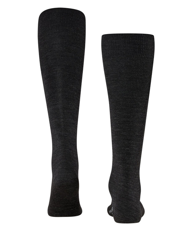 AirportKnee-high15435_3080anthramel_3