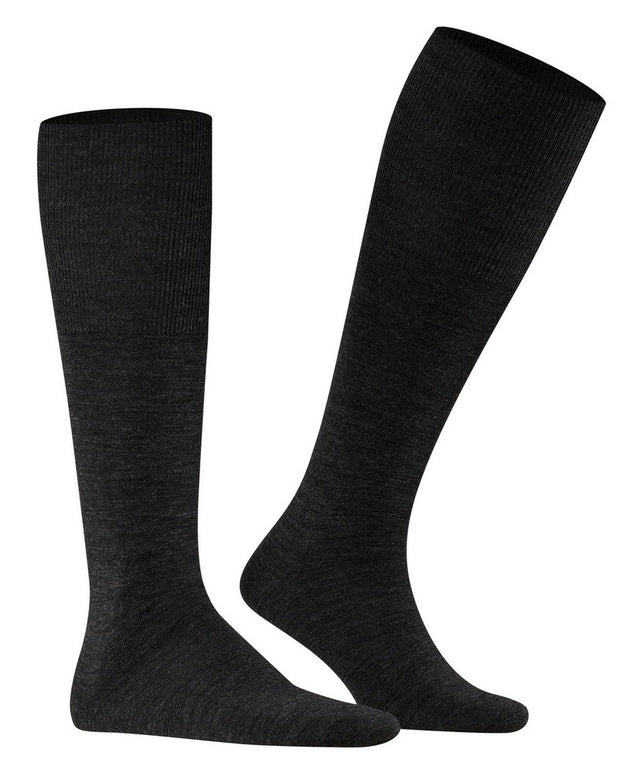 AirportKnee-high15435_3080anthramel_4