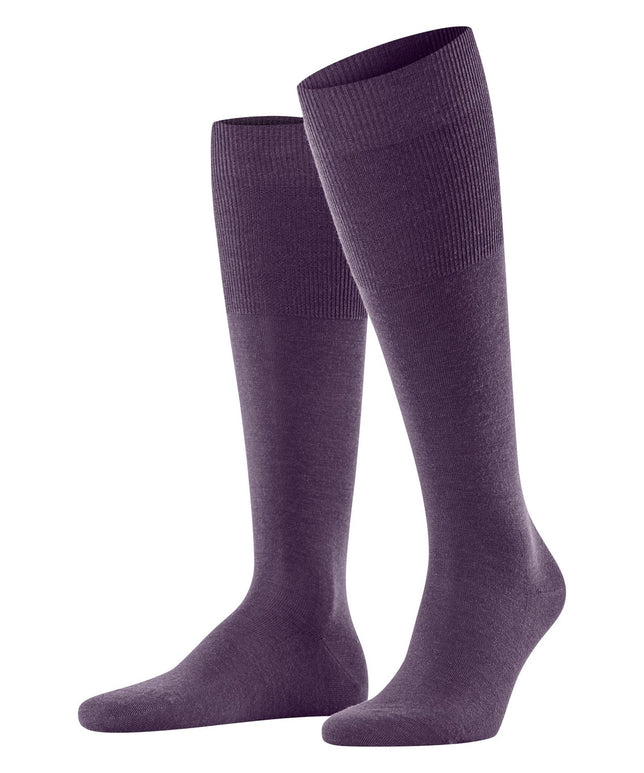 AirportKnee-high15435_8860wineberry_1