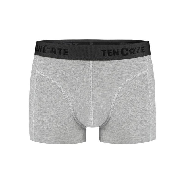 Basicsmenshorty2pack32321_955Lightgreymelee_1