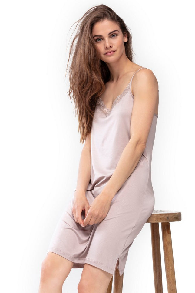 BodydressMeyBasics45122_210newtoffee_3