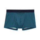 BoxerBriefsAndy402631_BluePrint_4