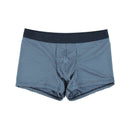 BoxerBriefsBenoit402014_00RANavy_1