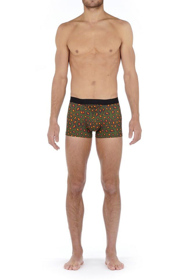 BoxerBriefsHO1Esterel402275_KhakiPrint_2