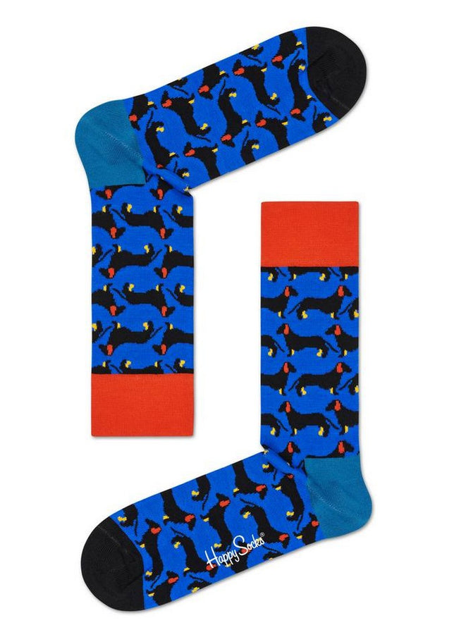 CatSockHondCAD01_Blue_1