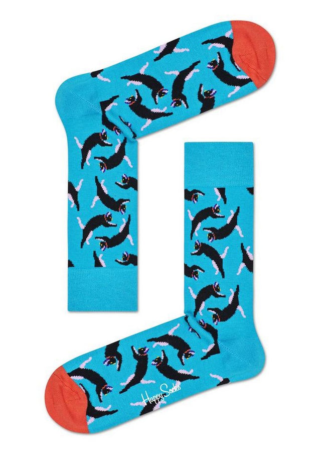 CatSockHondCAD01_Multicolor_1