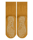 Catspads10500_8305crocus_4