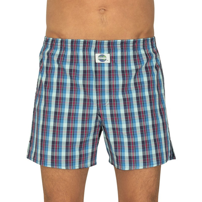 Check100%co192286_756Blauw_Groen_1