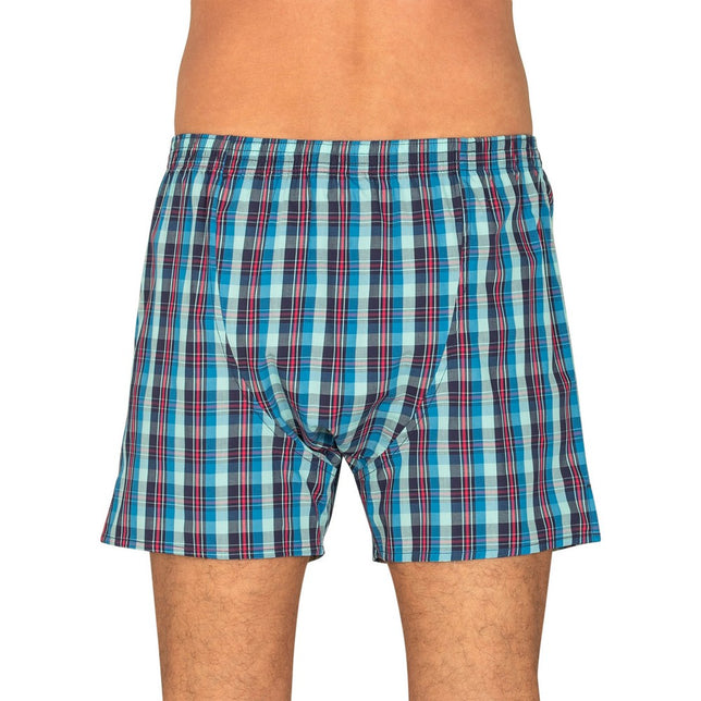 Check100%co192286_756Blauw_Groen_2