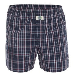 Check192258_300Blue_1