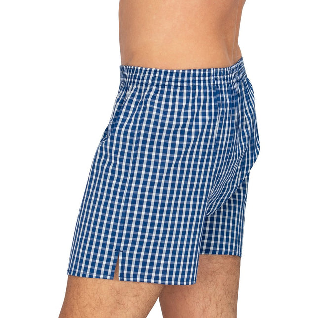 Check192269_304Blue_White_2