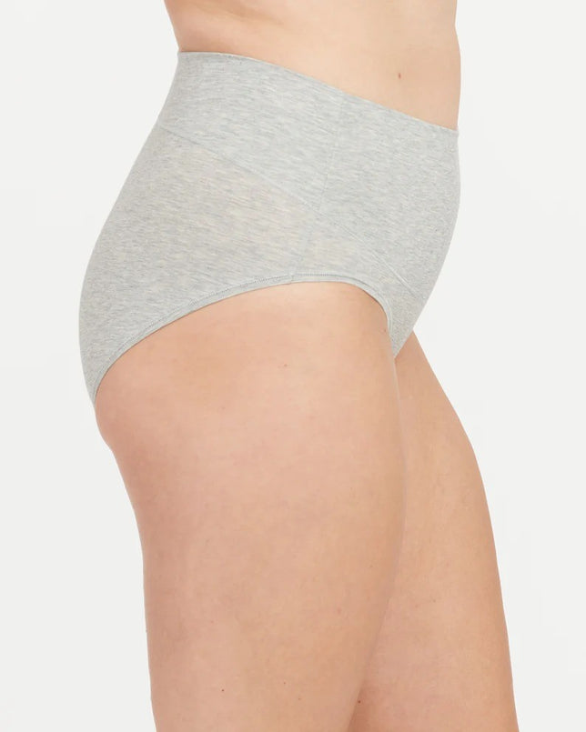 CottonControlBrief40050R_HeatherGrey_3
